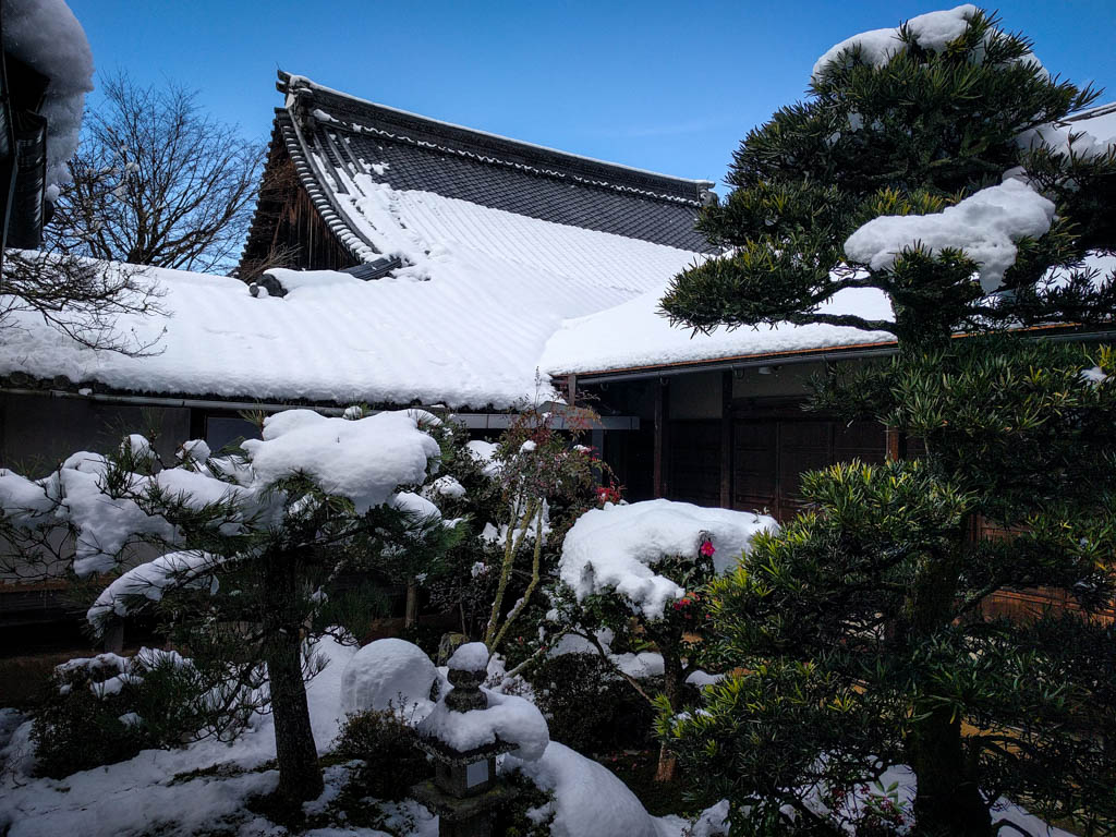Зимний Киото: дикая удача и жуткое невезение